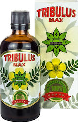 Cvetita Herbal Tribulus Max 100 мл