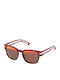 Police Unisex Sunglasses with Multicolour Plastic Frame and Brown Lens