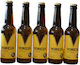 Siris Mikrozythopoiia Serron Voreia Witbier Flasche 5x330ml