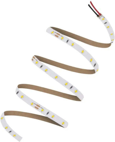 Ledvance Bandă LED 24V Alb Rece Lumină 5m Tip SMD2835