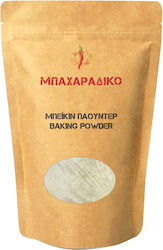 ΜΠΑΧΑΡΑΔΙΚΟ Μπέϊκιν Πάουντερ Baking Powder 1kg