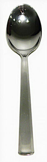 Giorinox Pegaso Dinner Spoon Stainless Steel Silver
