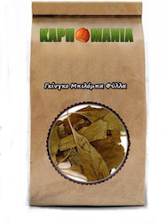 Karpomania Ginkgo Biloba 350gr K- 10180 -a