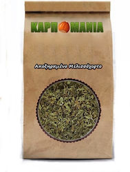 Karpomania Μελισσόχορτο 250gr