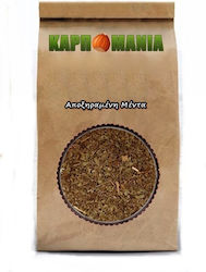 Karpomania Mint 350gr K- 10059 -a