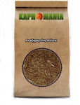 Karpomania Mint 100gr K- 10056 -a