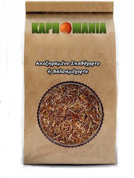 Karpomania Hypericum Dried 100gr K- 8755 -a