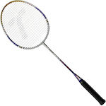 Techman Badminton Racket