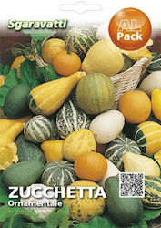 Sgaravatti Ornamentale Pumpkin Seed 5gr