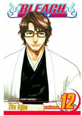 Bleach Vol. 12