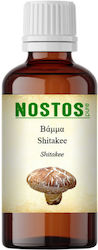 Nostos Pure Βάμμα Shitakee 100ml