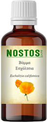 Nostos Pure Βάμμα Εσχόλτσια 100ml