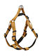 Glee Dog Harness Yellow Medium 20mm x 56-66cm 88817
