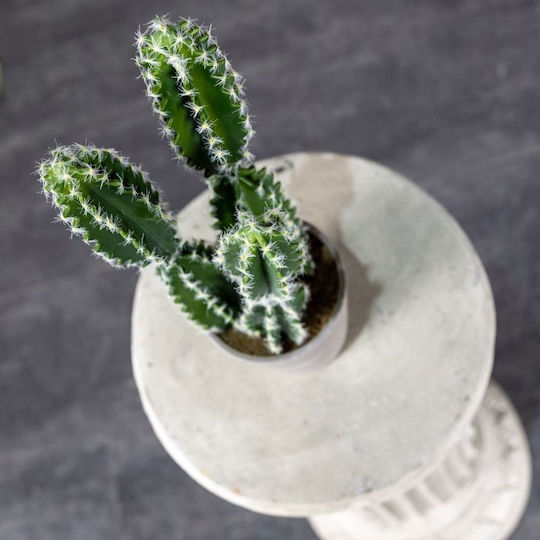 Изкуствено растение в саксия Кактус Еуфорбия Caerulescens Green 50см Supergreens