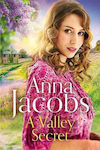 A Valley Secret (Hardcover)