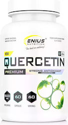 Genius Nutrition Quercetin Premium 500mg 60 Capsules Green Tea