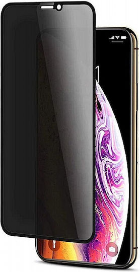 5D Privacy Full Face Tempered Glass Μαύρο (Apple iPhone X, Xs, 11 Pro)