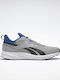 Reebok Runner 4 4E Ανδρικά Αθλητικά Παπούτσια Running Pure Grey 3 / Pure Grey 8 / Vector Blue