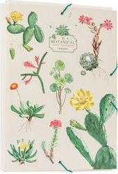 Grupo Erik Dosar de Fișiere cu Furtun și Elastic Multicolor Botanical Grupo Erik Dosar de Fișiere cu Furtun și Elastic Multicolor Botanical