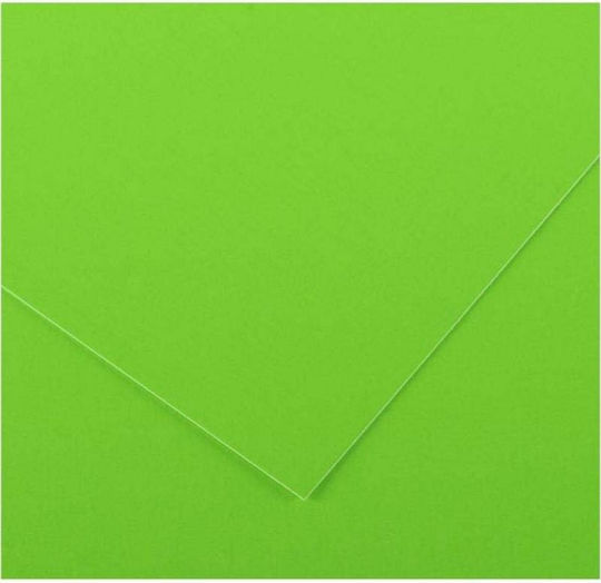 Exas Paper Картон Canson 50x65 см Зелен