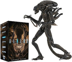 Neca Alien 1986: Alien Warrior & Egg Face Hugger Φιγούρα Δράσης