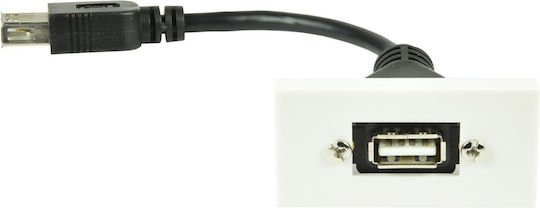 AvLink Convertor USB-A Feminin în USB-A Feminin Alb 1 Bucată 122.530UK