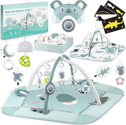 Go Clever Koala Nukido Gym for Newborns