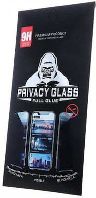 Privacy Tempered Glass (Redmi Note 9)