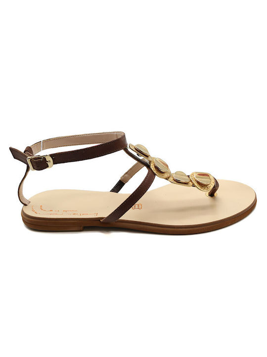 Robinson Women's Flat Sandals with Strap in Brown Color