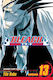 Bleach Vol. 13