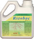 Humofert Rizobac Root Stimulator 1lt