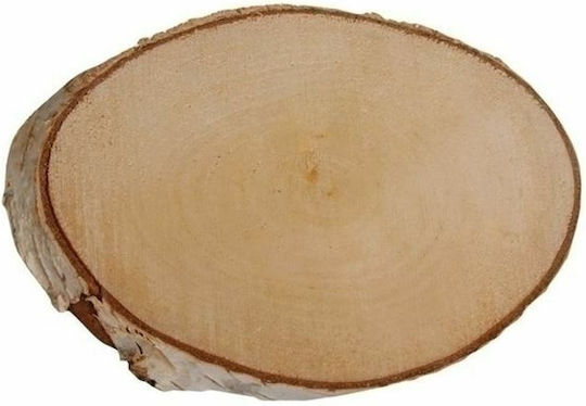Rayher Trunchi de Arbore 17x15buc Grosime 2mm