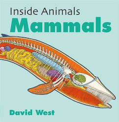 Mammals, Inside Animals