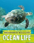 Rescuing Ocean Life, animale sălbatice pe cale de dispariție