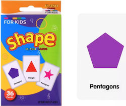 Shape Educational Toy Knowledge for 2+ Years Old