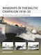 Warships in the Baltic Campaign 1918-20