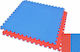 Puzzle Mat Boden Puzzle Fitnessstudio Doppelseitig 100x100x4cm 1Stück