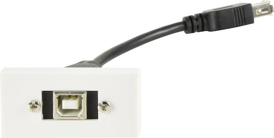 AvLink Converter USB-A female to USB-B male White 1pcs (122.535UK)