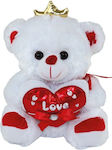 Plush Bear 35 cm