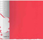Typotrust Ντοσιέ Σουπλ με 10 διαφάνειες Διαφάνειες για Χαρτί A4 Κόκκινο