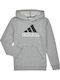Kinder-Sweatshirt mit Kapuze und Taschen Gray Essentials