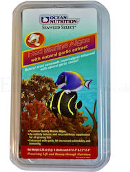 Ocean Nutrition Red Marine Algae Bottom Fish Food with Spirulina 8gr