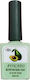 QBD Base Coat για Gel 15ml