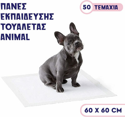 Floor Diapers Dog 60x60cm 50pcs