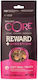 Wellness Core Trainers Dog Treat Grain Free with Chicken 170gr