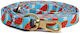 Habby Collar Hundeleine/Führleine Riemen Habby SL01 1.2m x 1cm
