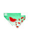 Max & Molly Watermelon Bandana for Dogs Large