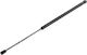 NTY Car Trunk Shock for Nissan Micra 2003-2010 AENS004