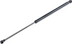 NTY Car Trunk Shock for Seat Leon 2005-2012 AESE003