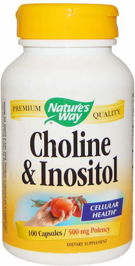 Nature's Way Choline & Inositol 500mg Ειδικό Συμπλήρωμα Διατροφής 100 κάψουλες